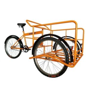 Triciclo De Carga Jaguar Agrónomo Rodada 20